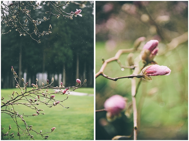 rowena's inn elopement | sharalee prang photography_641