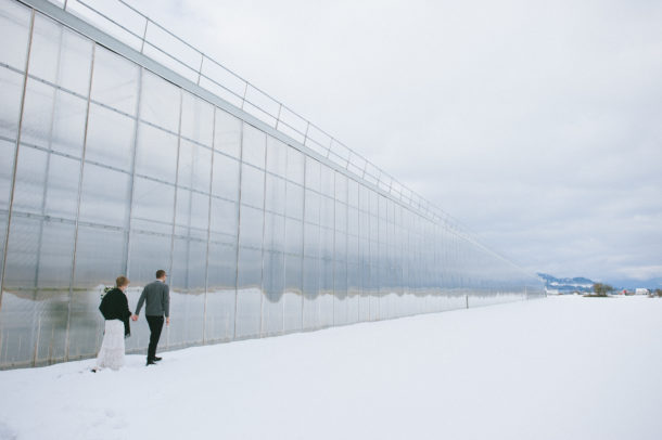 Snowy Winter Wedding couple in Abbotsford at a greenhouse